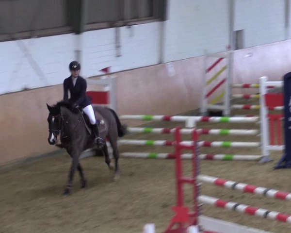 Reitturnier Datteln 2022