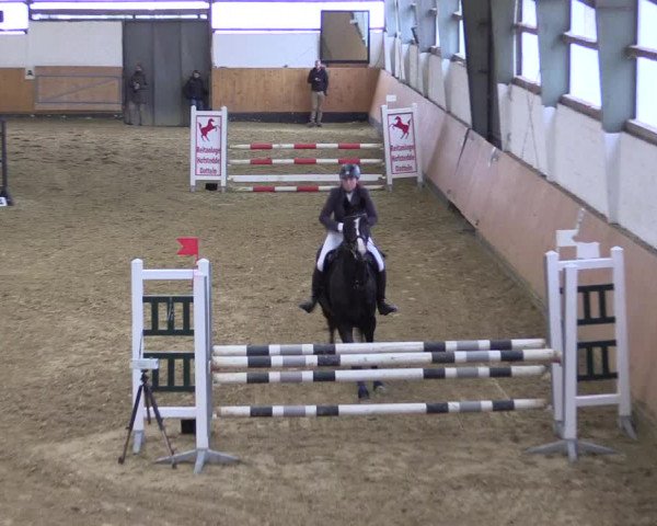 Reitturnier Datteln 2022