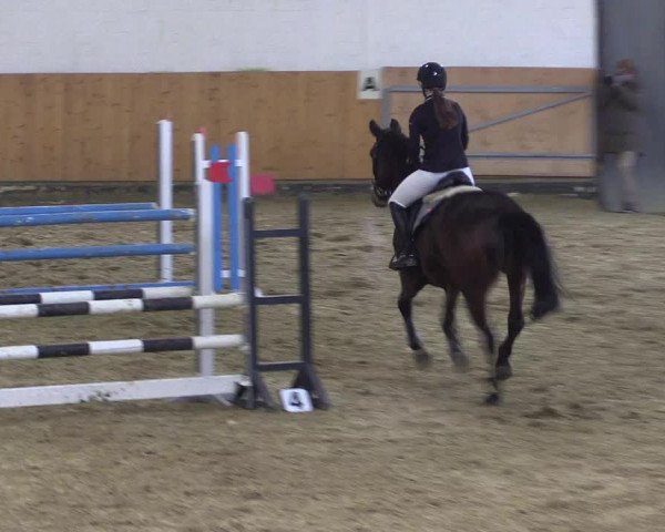 Reitturnier Datteln 2022