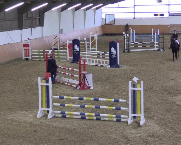 Reitturnier Datteln 2022