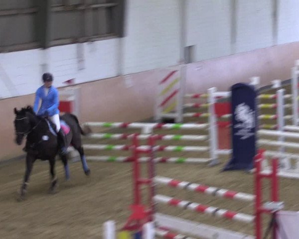 Reitturnier Datteln 2022