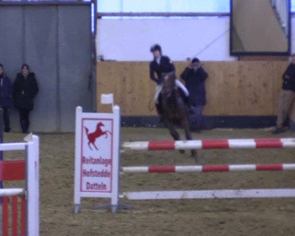 Reitturnier Datteln 2022