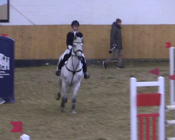 Reitturnier Datteln 2022