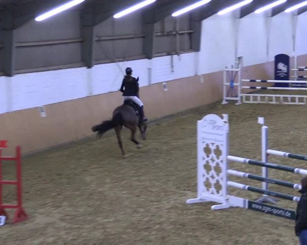Reitturnier Datteln 2022