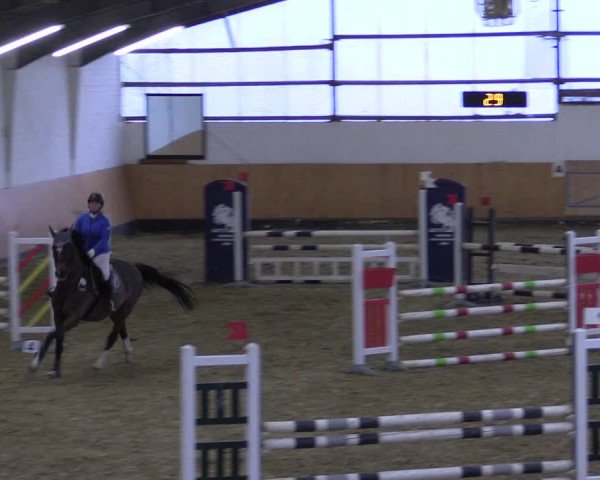 Reitturnier Datteln 2022