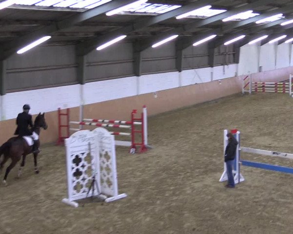 Reitturnier Datteln 2022