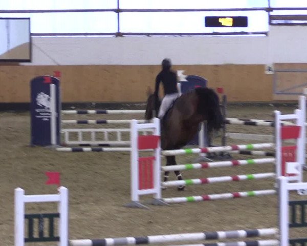 Reitturnier Datteln 2022