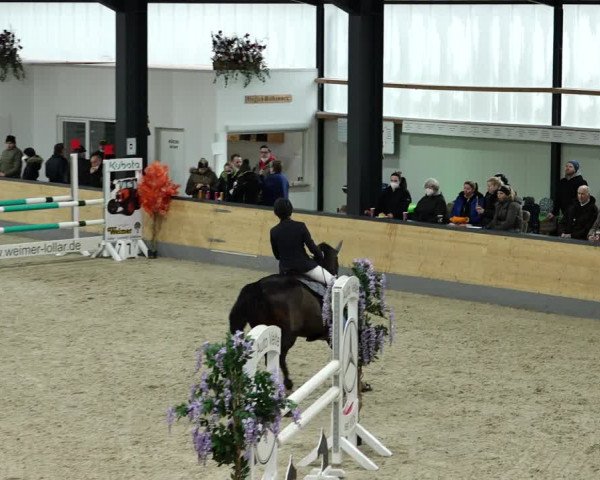 Springturnier Borken 2022