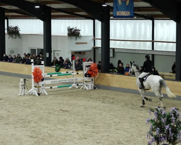 Springturnier Borken 2022