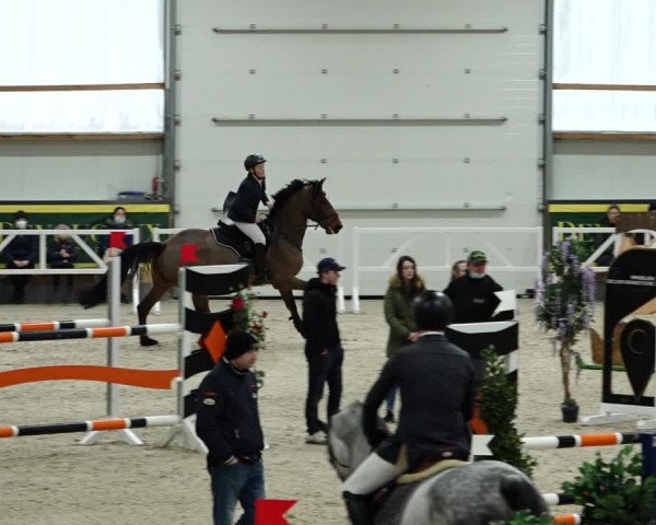 Springturnier Borken 2022