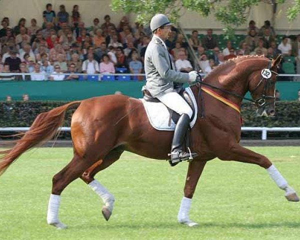 Deckhengst Locksley II (Hannoveraner, 2002, von Londonderry)
