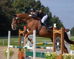 jumper Lugano B 2 (Westphalian, 2008, from Lugato)
