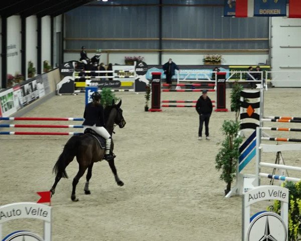 Springturnier Borken 2022