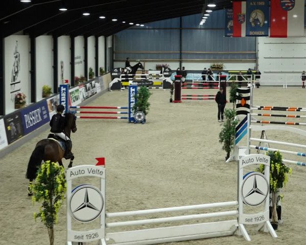 Springturnier Borken 2022