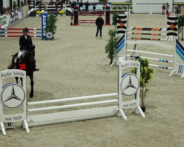 Springturnier Borken 2022