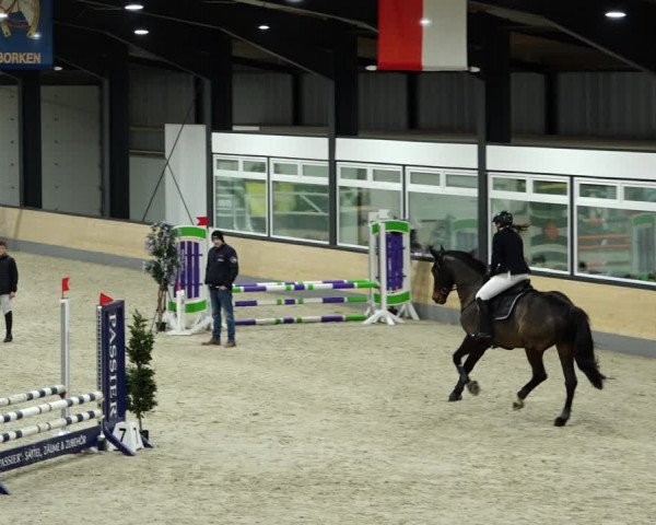 Springturnier Borken 2022