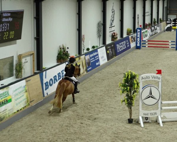 Springturnier Borken 2022