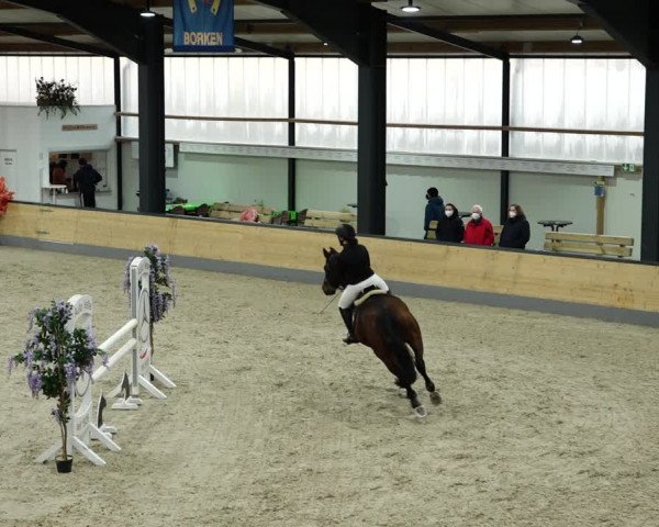 Springturnier Borken 2022