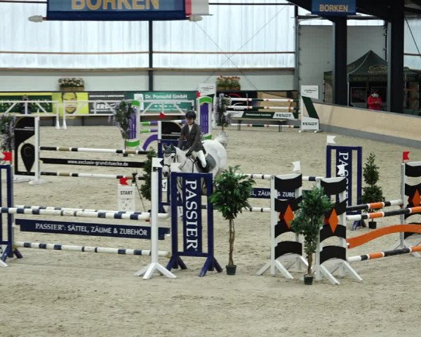Springturnier Borken 2022