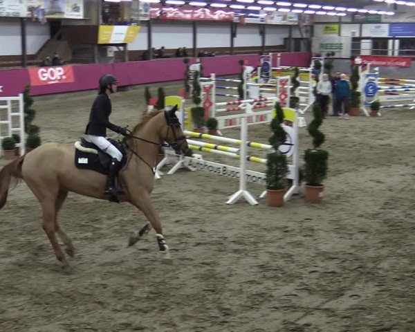 Bismarck Indoors Vlotho-Exter 2022