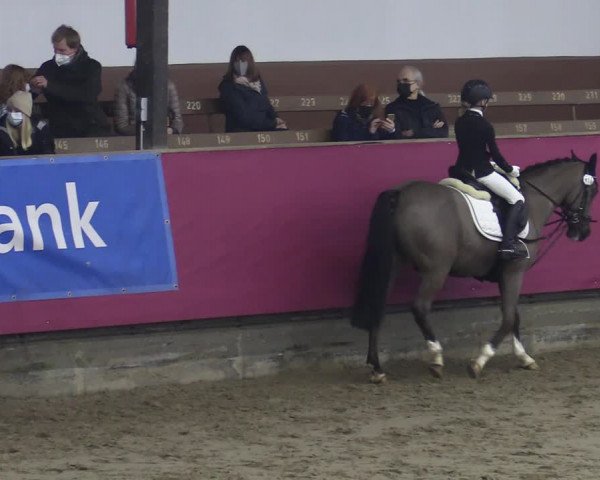 Bismarck Indoors Vlotho-Exter 2022