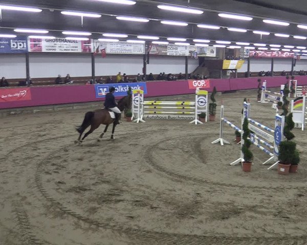 Bismarck Indoors Vlotho-Exter 2022