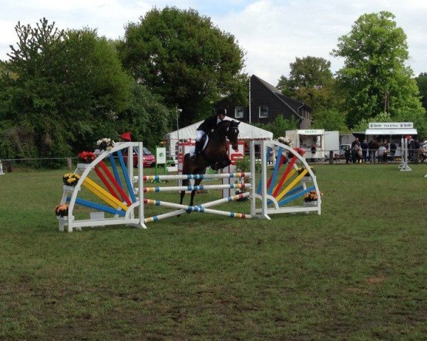 jumper Sweet Like Chocolate (German Riding Pony, 2006, from Nightflight)