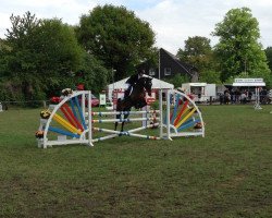 jumper Sweet Like Chocolate (German Riding Pony, 2006, from Nightflight)