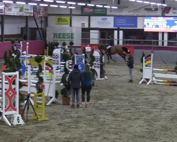 Bismarck Indoors Vlotho-Exter 2022