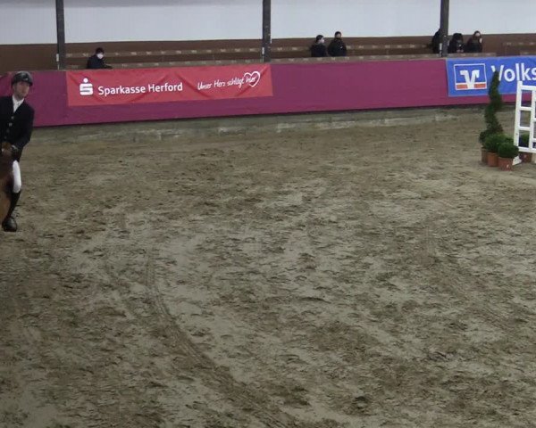 Bismarck Indoors Vlotho-Exter 2022