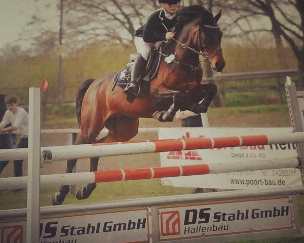 jumper Nouveaux (German Riding Pony, 2007, from Niveau)