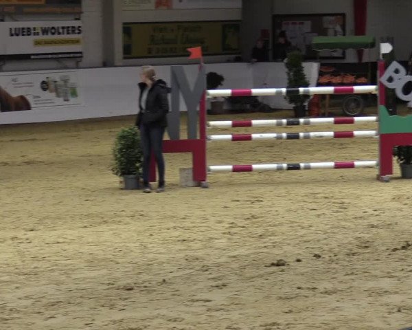 Springturnier Borken 2022