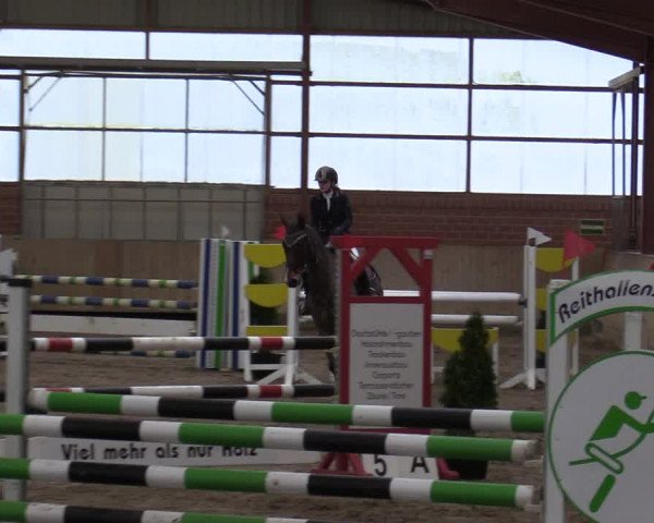 Reitturnier Ostenfelde-Vornholz 2022