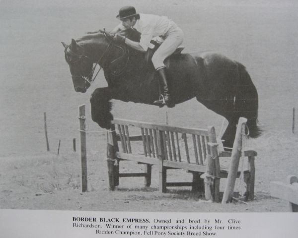 broodmare Border Black Empress (Fell Pony,  , from Waverhead Rambler)