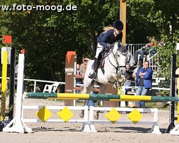 jumper Aslan 51 (German Riding Pony, 2005, from Asilo xx)