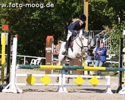 jumper Aslan 51 (German Riding Pony, 2005, from Asilo xx)