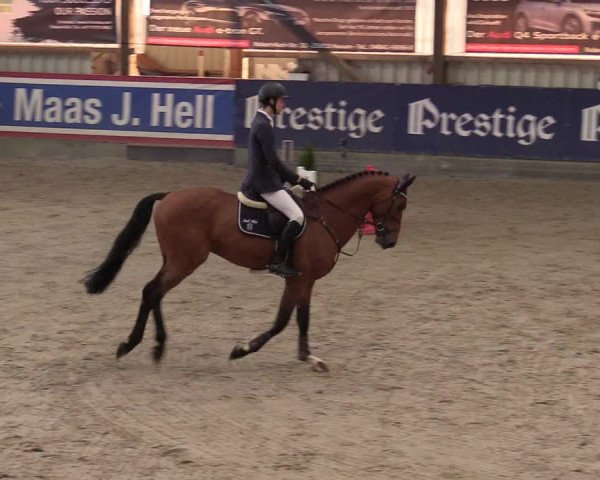 10. Nordic Jumping Event in Negernbötel 2022