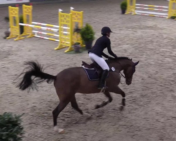 10. Nordic Jumping Event in Negernbötel 2022