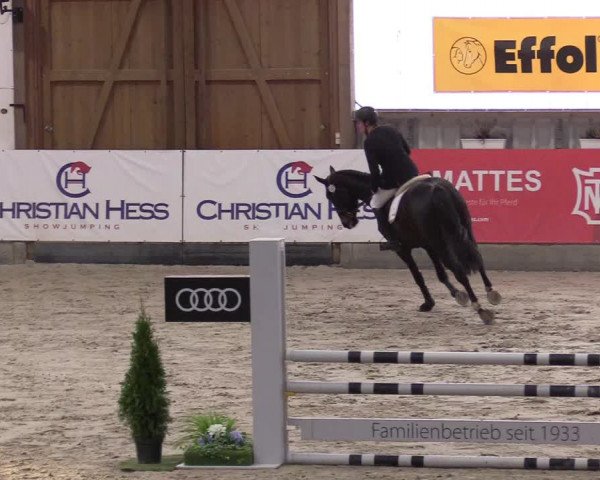 10. Nordic Jumping Event in Negernbötel 2022