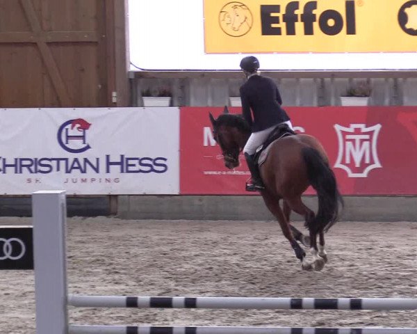10. Nordic Jumping Event in Negernbötel 2022