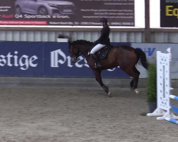 10. Nordic Jumping Event in Negernbötel 2022