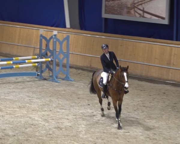 Springturnier Aachen - Albert-Vahle-Halle 2022
