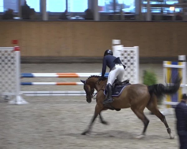 Springturnier Aachen - Albert-Vahle-Halle 2022
