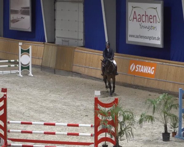 Springturnier Aachen - Albert-Vahle-Halle 2022