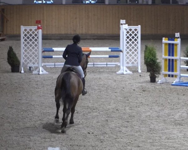 Springturnier Aachen - Albert-Vahle-Halle 2022