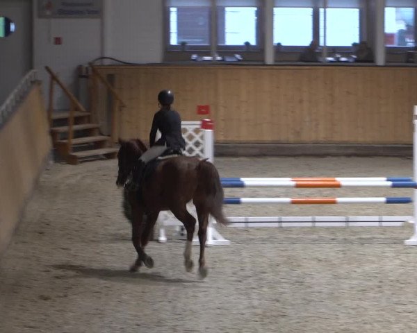 Springturnier Aachen - Albert-Vahle-Halle 2022
