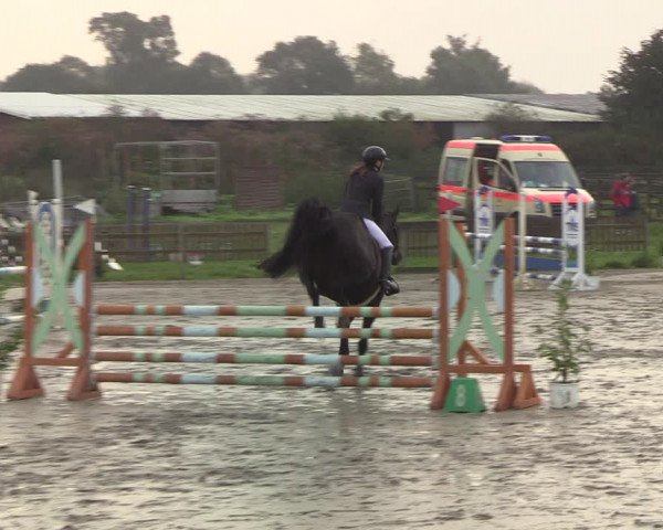 Reitturnier Schülp / Rendsburg 2021