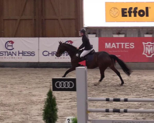 10. Nordic Jumping Event in Negernbötel 2022