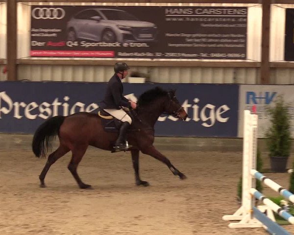10. Nordic Jumping Event in Negernbötel 2022