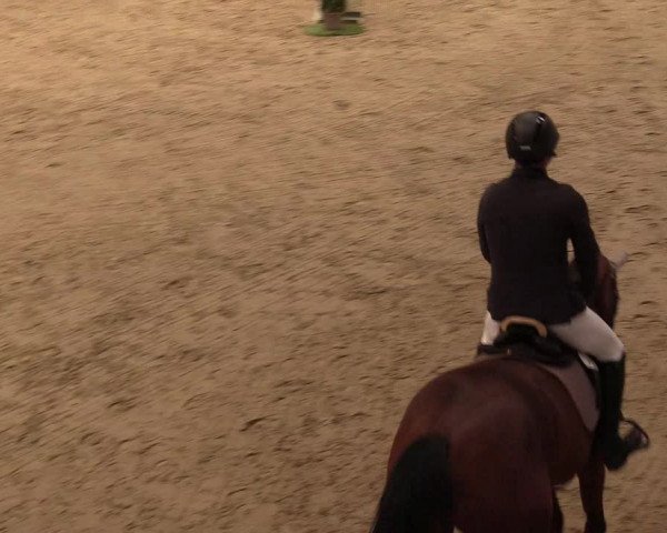 10. Nordic Jumping Event in Negernbötel 2022